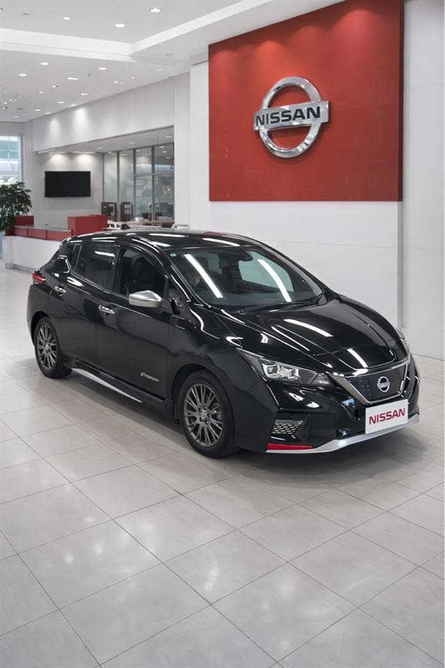 2021 Nissan Leaf